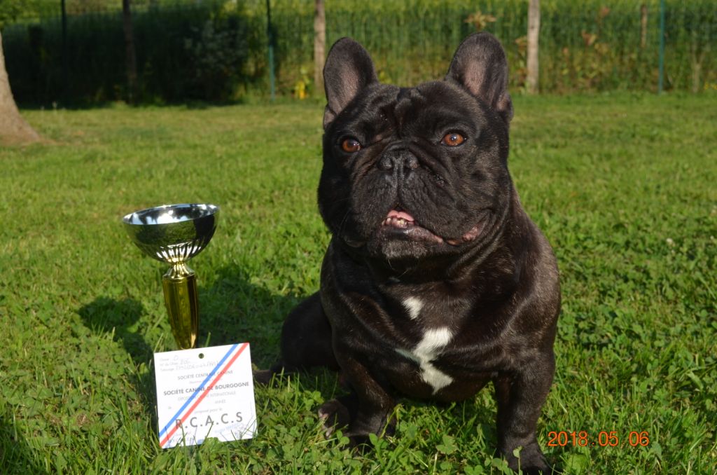 Maestro De La Belle Chanel