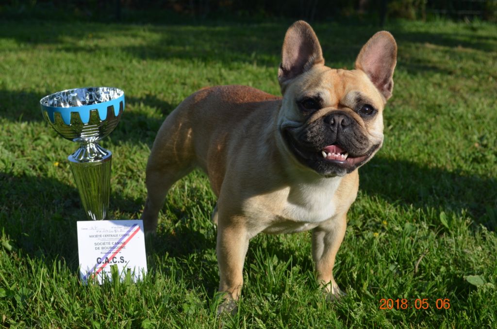 Mindy Domaine de Floyd et Louna